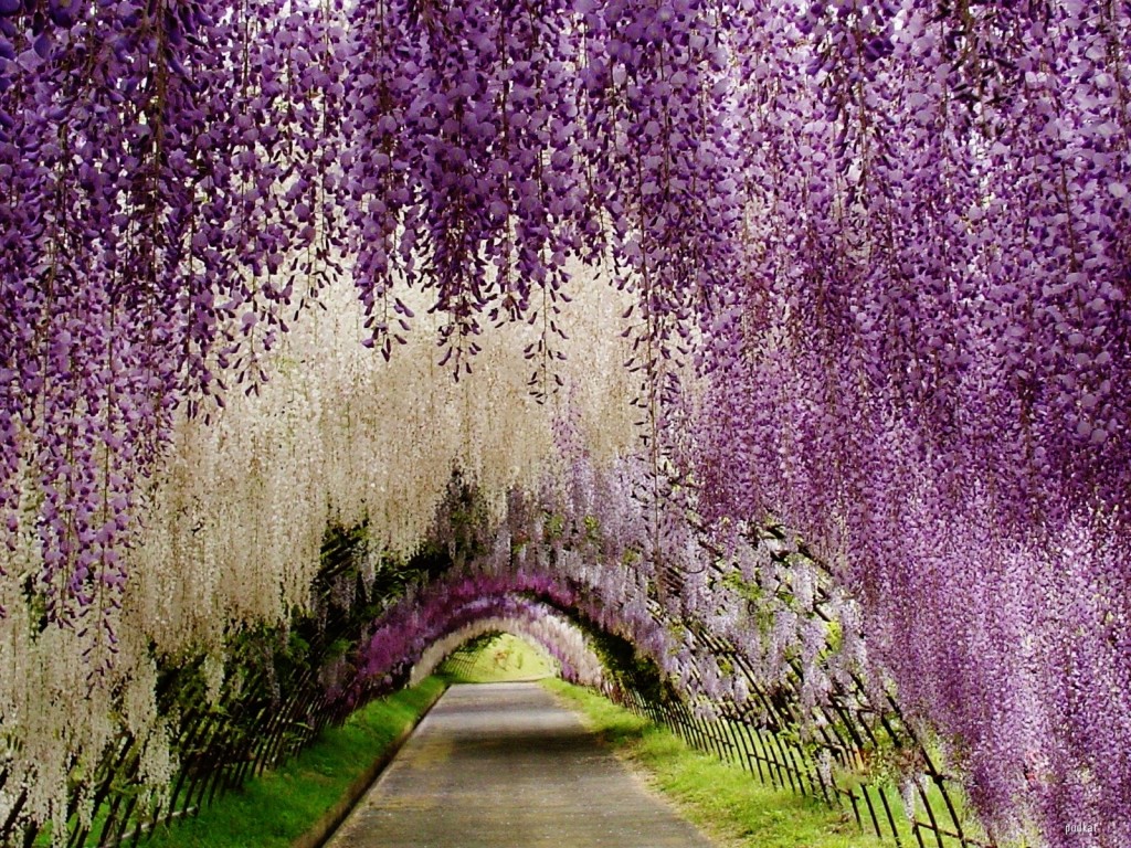 Most Beautiful Flower Gardens In The World