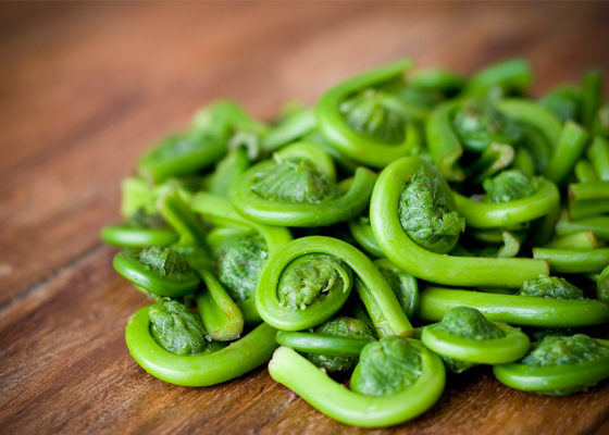 Fiddlehead Caption