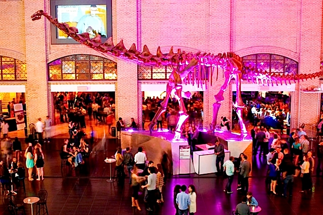 In and Around Toronto: Friday Night Live @ the ROM