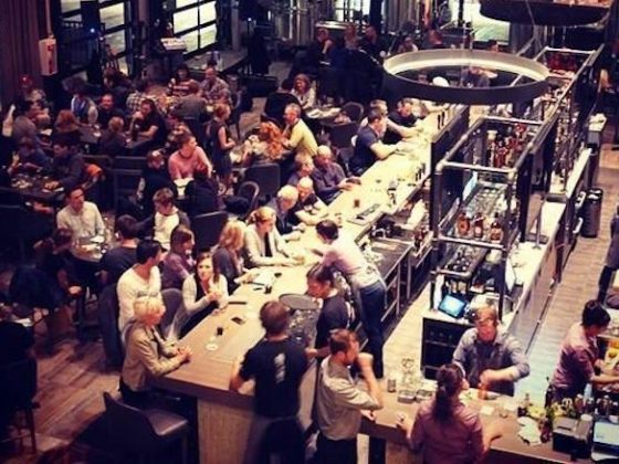Steel Toad Brew Pub