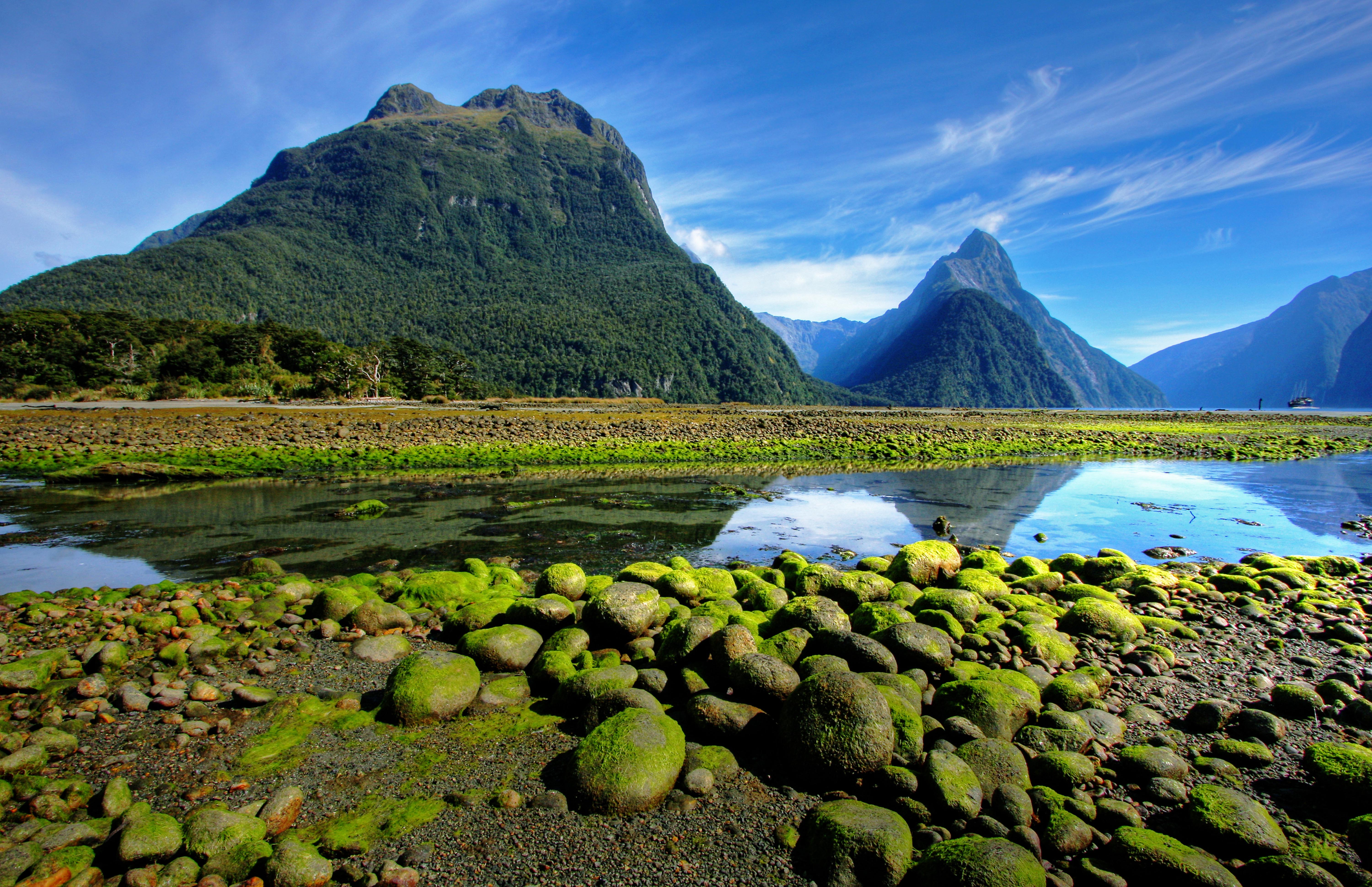 New-Zealand