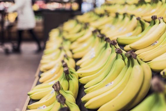 Things that are bad for you