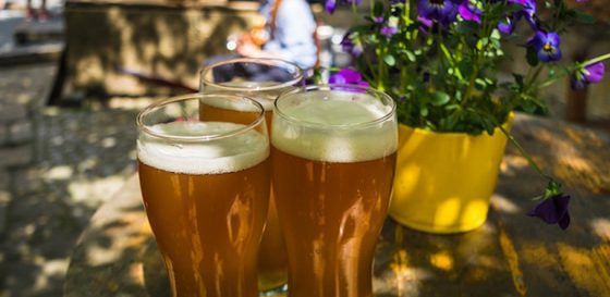 best beers for the summer