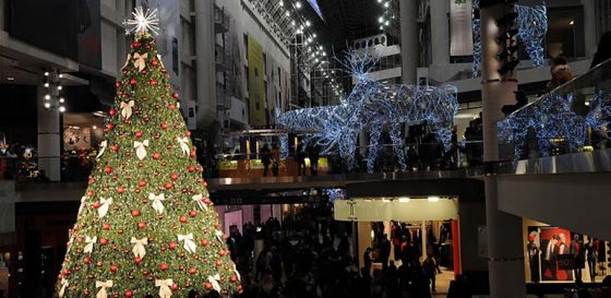 world's largest christmas tree