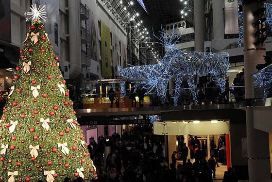 world's largest christmas tree