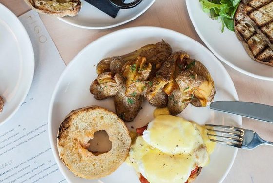 new year's day brunch in toronto