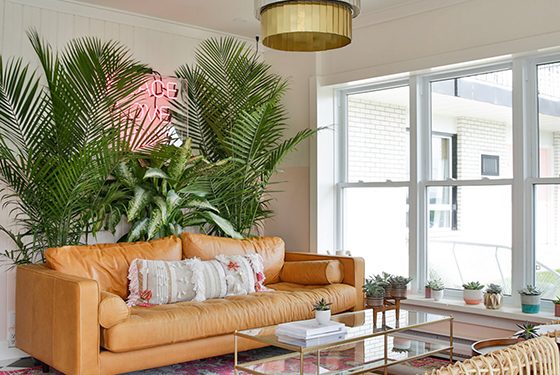 toronto professionals