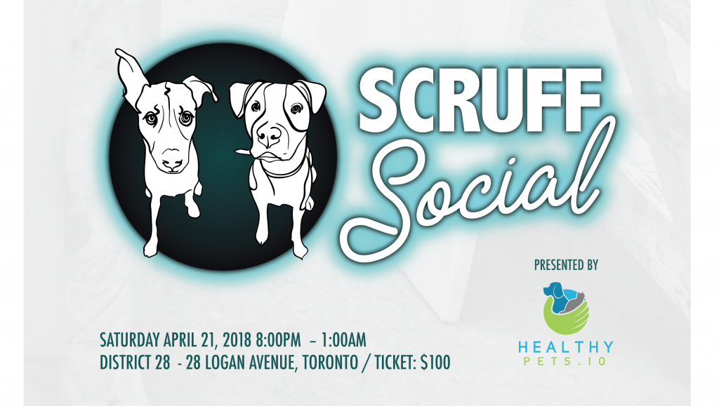 Scruff Social Poster