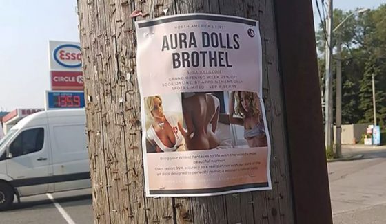 Sex Doll Brothel Toronto - Aura Dolls | View the VIBE Toronto