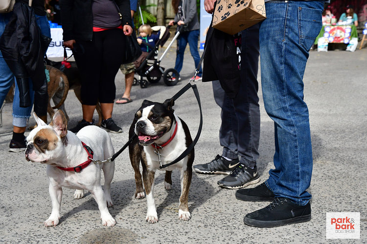 Park & Bark Dog Show