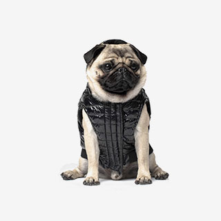 Canada Pooch Special Edition Puffer Jacket - View the VIBE