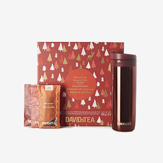 David's Tea Press Travel Kit - View the VIBE