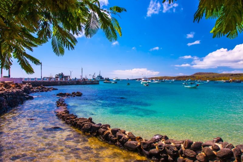 things to do in the galapagos islands