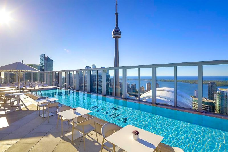 Bisha Hotel Toronto Rooftop Pool in the Six