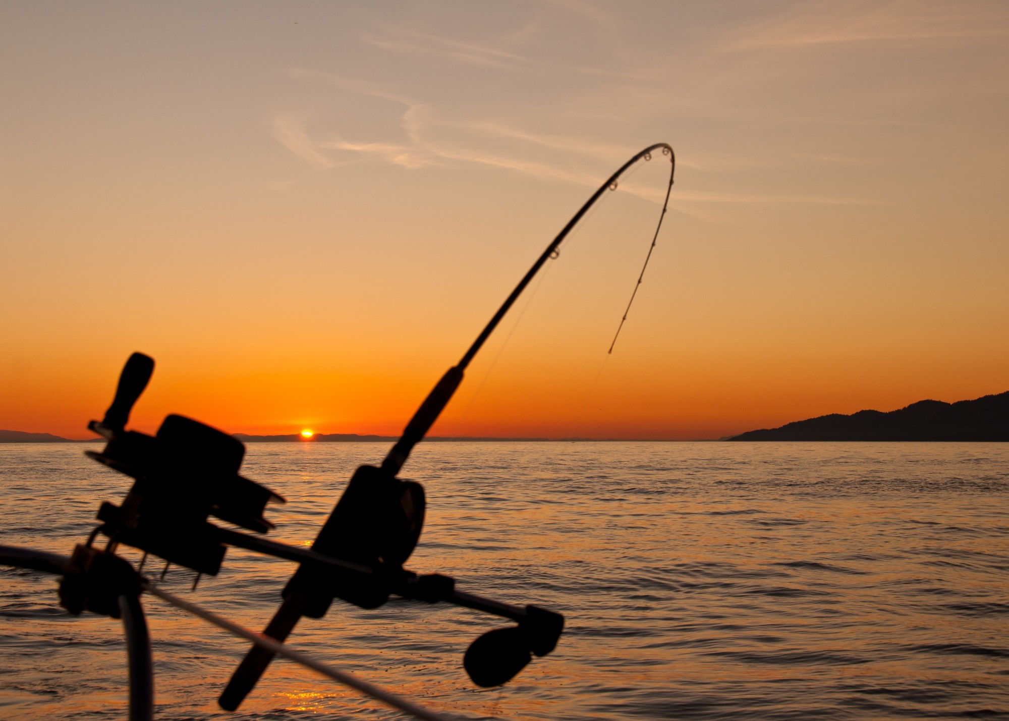 Gone Fishing: Making the Most out of a Fishing Charter - View the VIBE