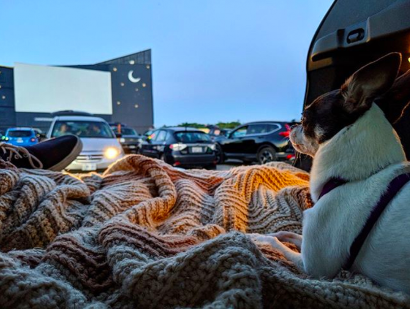 5 Drive-In Oakville