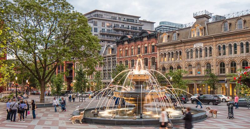 Berczy Dog Park