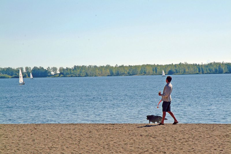 Cherry Beach Dog Park