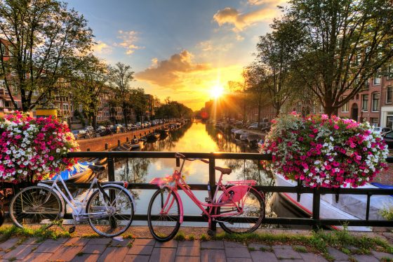 things to do in amsterdam