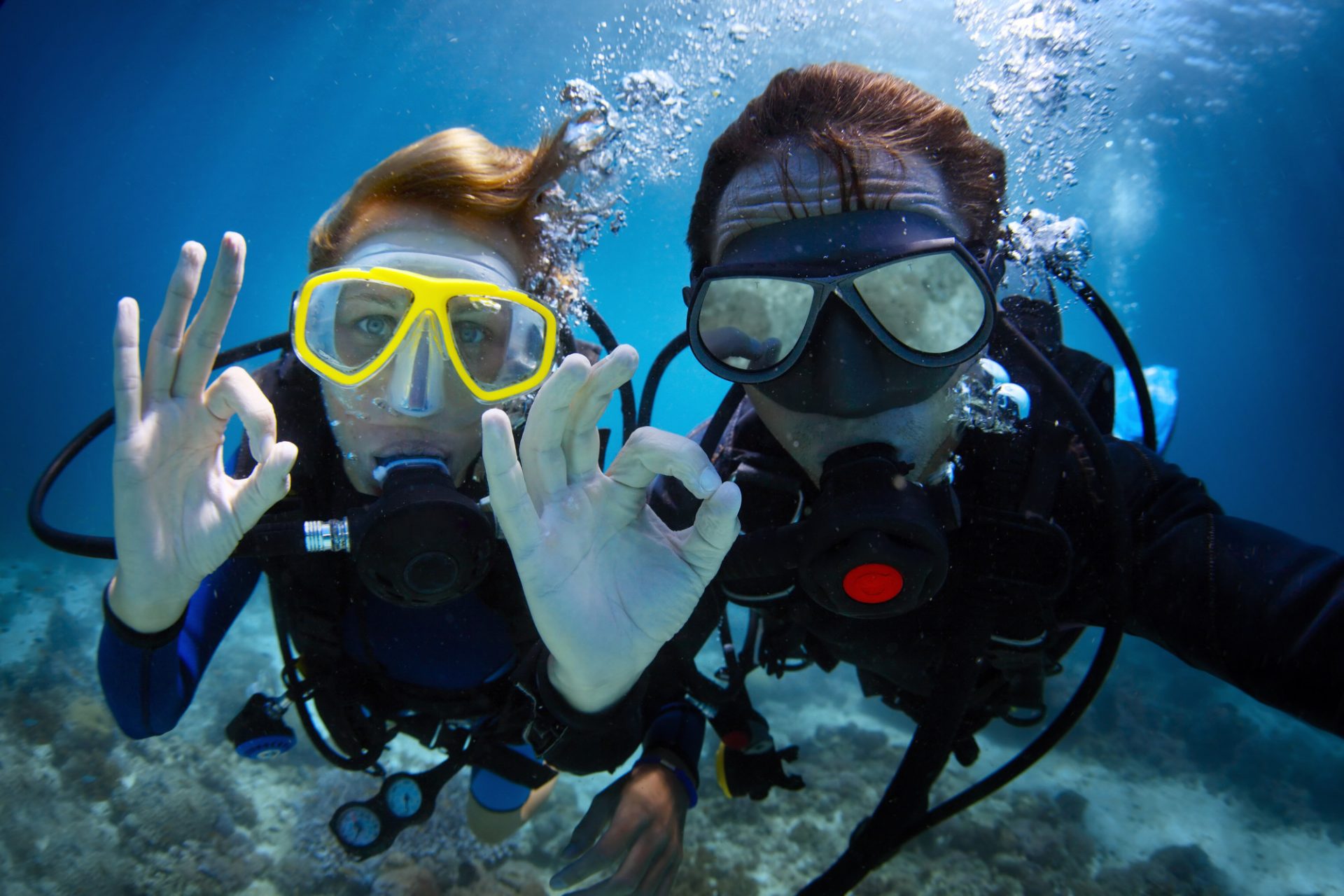 Below the Surface How to Learn Scuba Diving View the VIBE Toronto