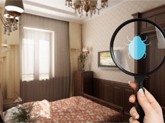 how to avoid bed bugs when traveling