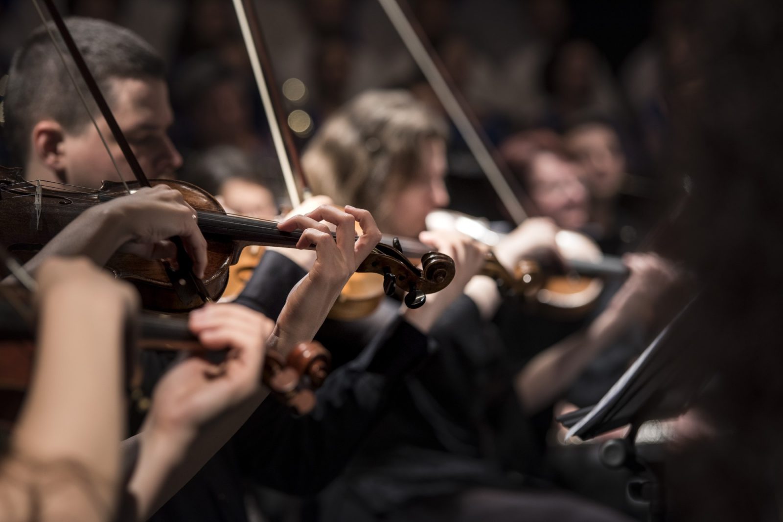 Travel the Globe to Discover the Best Orchestras in the World