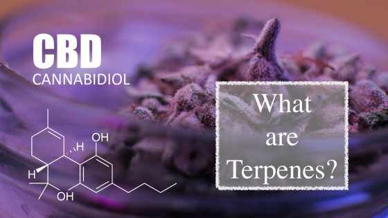 benefits of terpenes