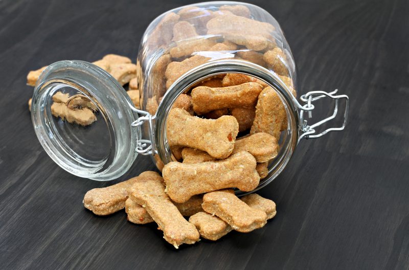 popular dog treats