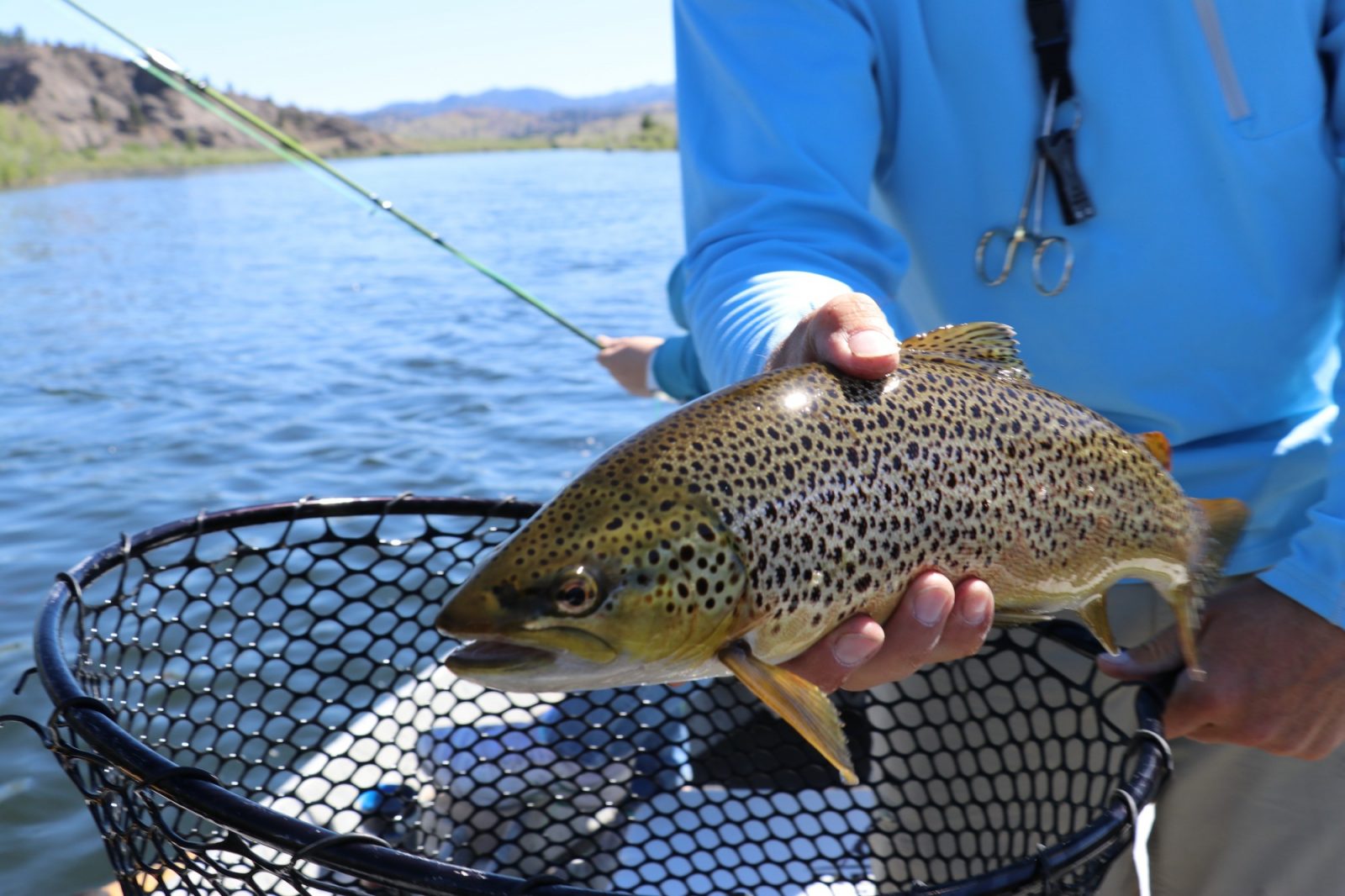 it-s-trout-season-your-guide-to-the-best-trout-fishing-in-the-world