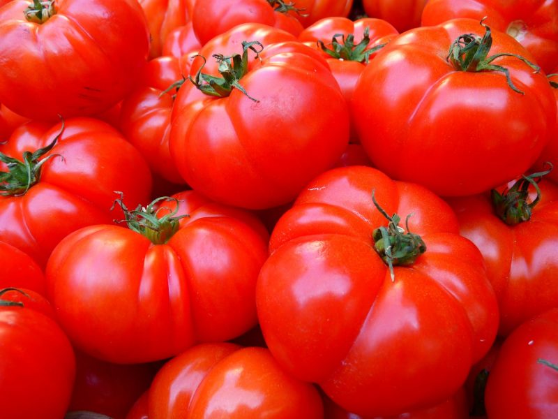 protein in tomatoes