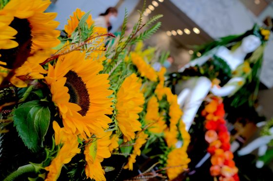 Bloor Yorkville Fleurs des Villes