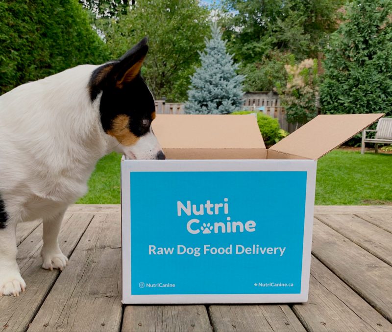 NutriCanine Top Toronto Raw Dog Food Brand - View the VIBE