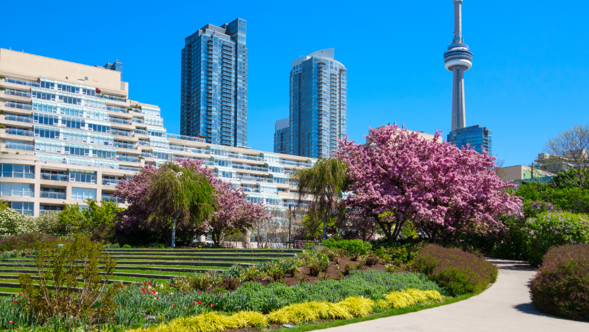 Things To Do In Toronto In April View the VIBE Toronto