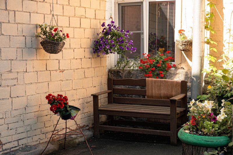 flowers at an open house