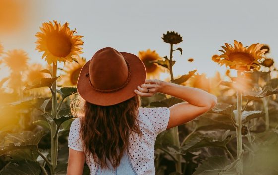 Sunflower Farm