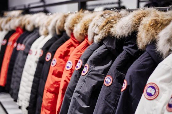 canada goose parka