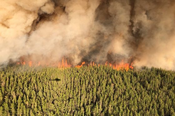 ontario wildfire