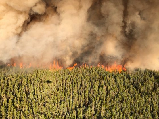 ontario wildfire