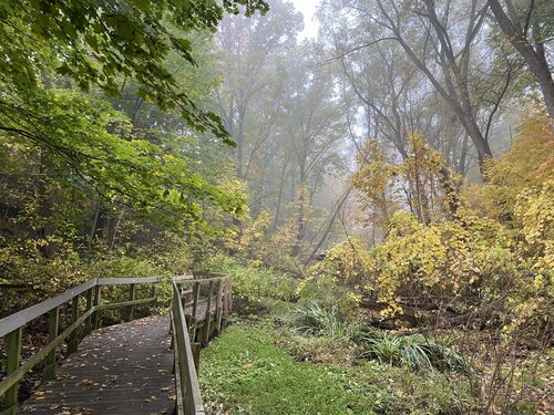 Save Small's Creek