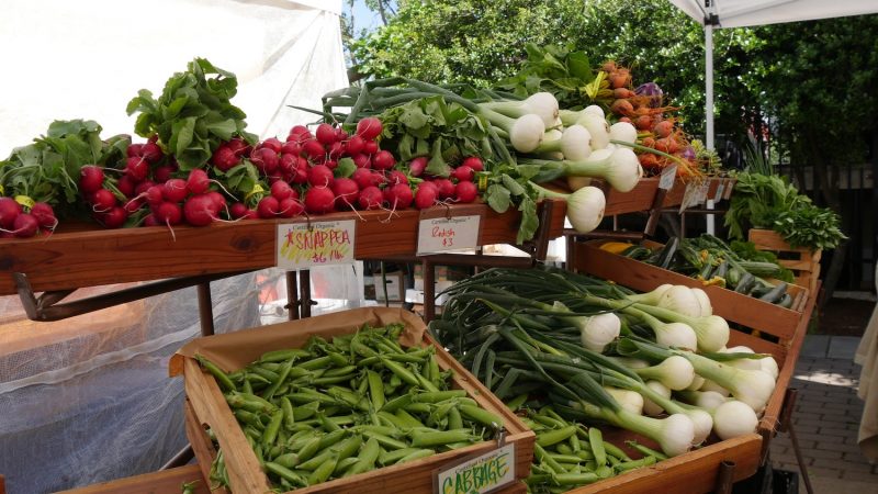 new farmers' market