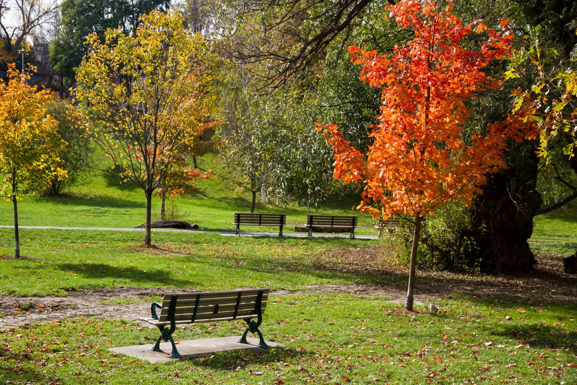 Toronto Parks