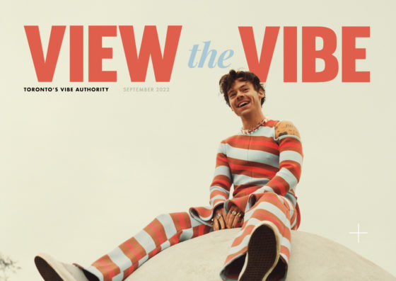 Harry Styles View the VIBE Cover September 2022 As it Was Shot by Hanna Moon