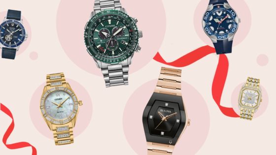 Gift guide for the watch enthusiast holiday season gift ideas Toronto