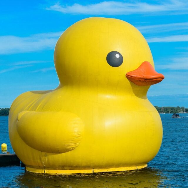 The world's largest rubber duck is returning to Toronto this year