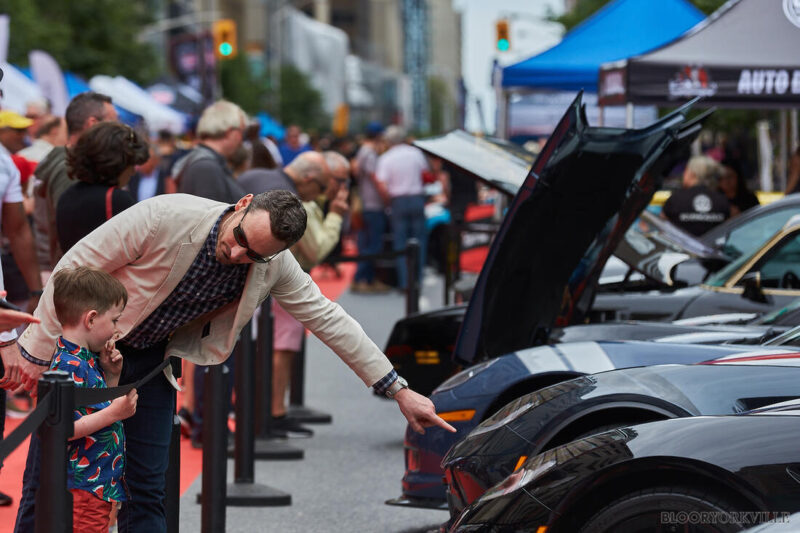 Yorkville Exotic Car Show