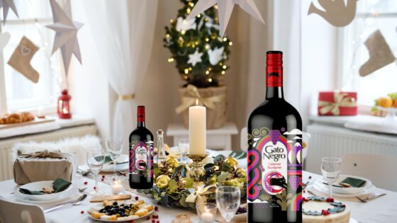 Gato Negro Wine LCBO Holiday Hosting Top Best Wine for Your Dinner Parties and Gifting Ideas