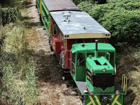 Port Stanley Tourist Train