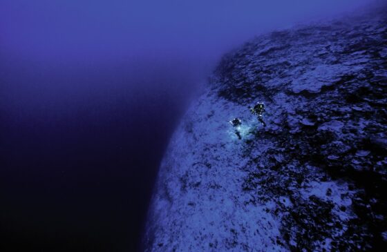 Emmanuelle Périé-Bardout and Ghislain Bardout collected 6,000 coral samples in the mesophotic zone during the Under The Pole Twilight Zone programme, including the deepest symbiotic coral discovered to date, at a depth of 172 metres. ©FRANCK GAZZOLA / UNDER THE POLE