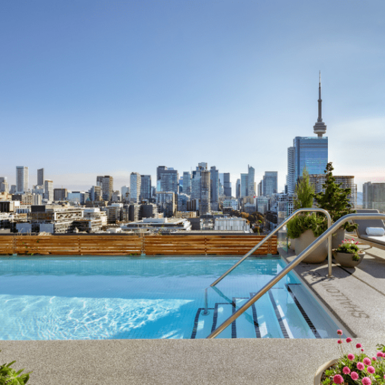 Best top rooftop pools and bar in the downtown Toronto core near you