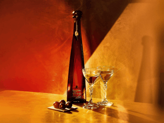 Don Julio at TIFF 2025